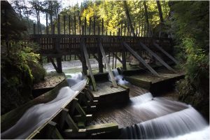 Holzdrift Mendlingtal