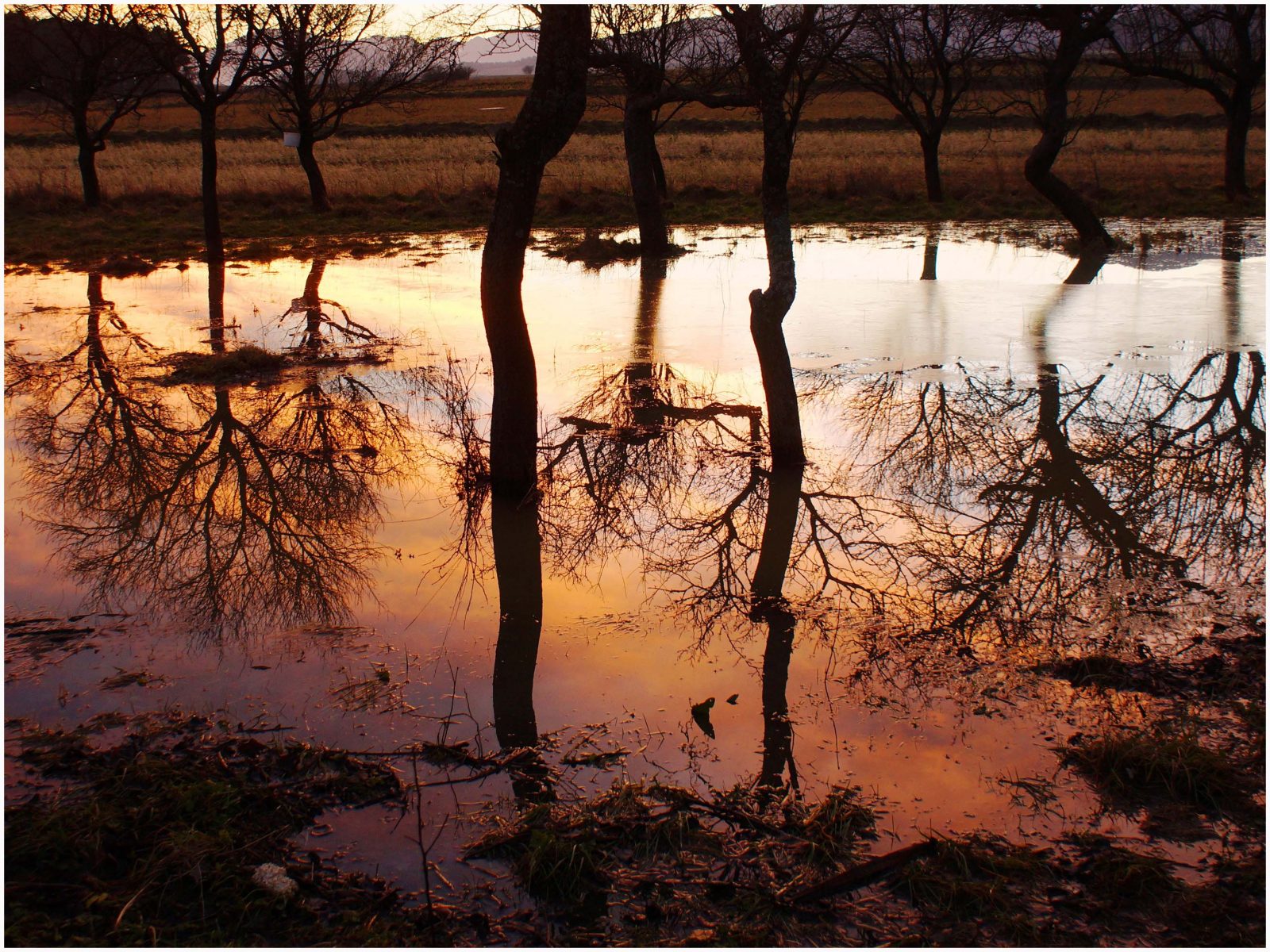 Wasserspiegelung Raglitz