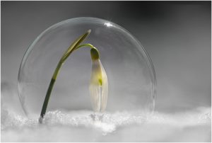 Bubblespring