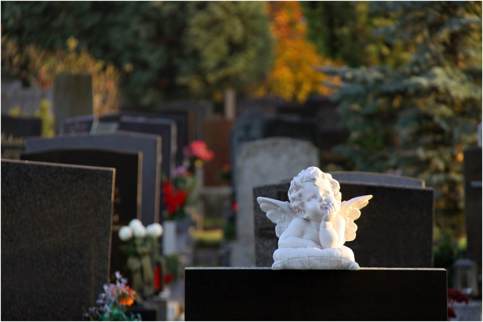 Friedhofsengerl
