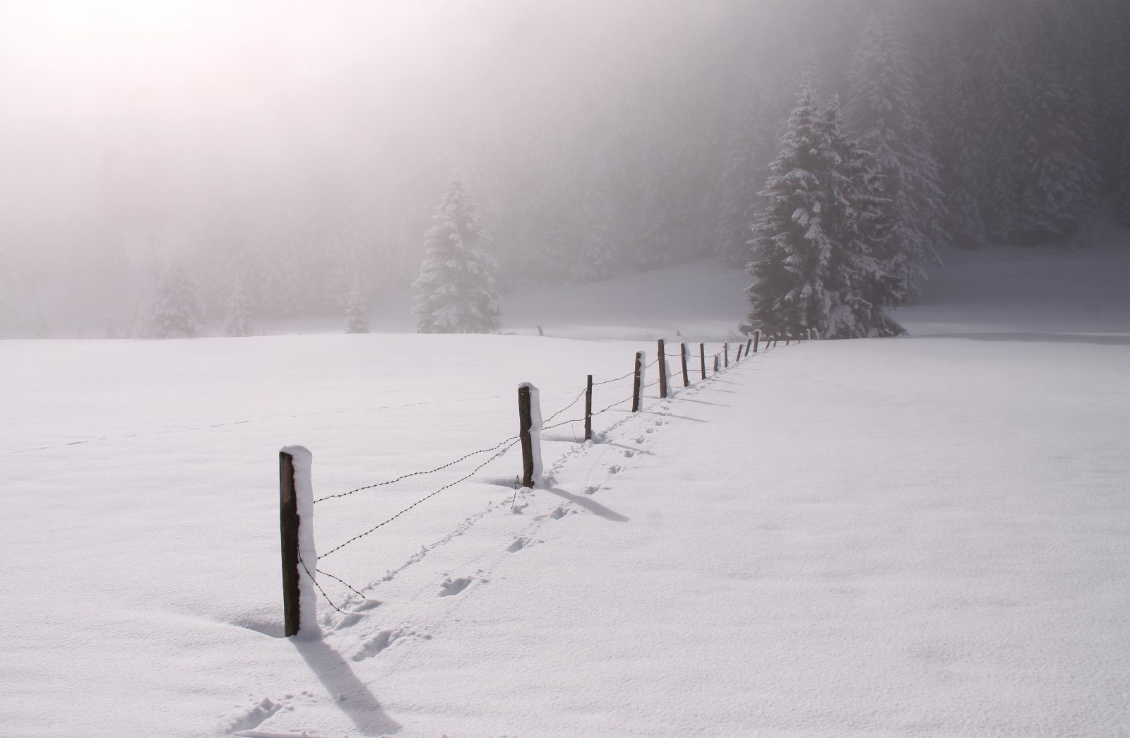 Winterstimmung Ramsau