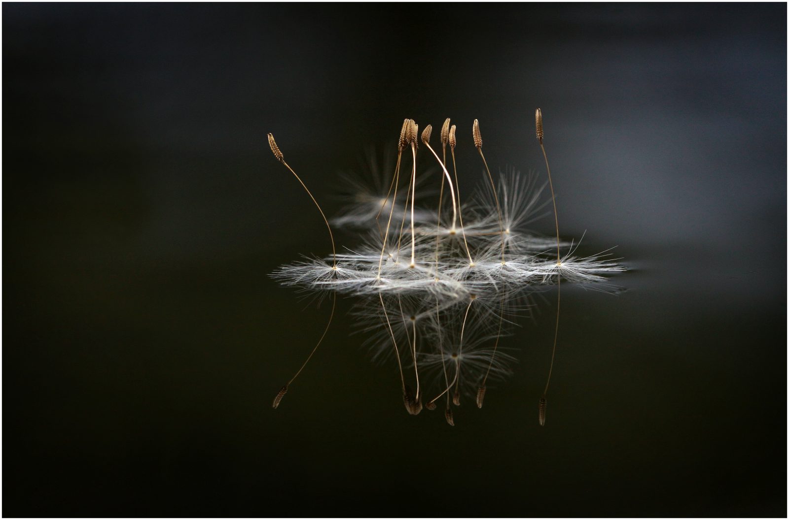 Waterballett