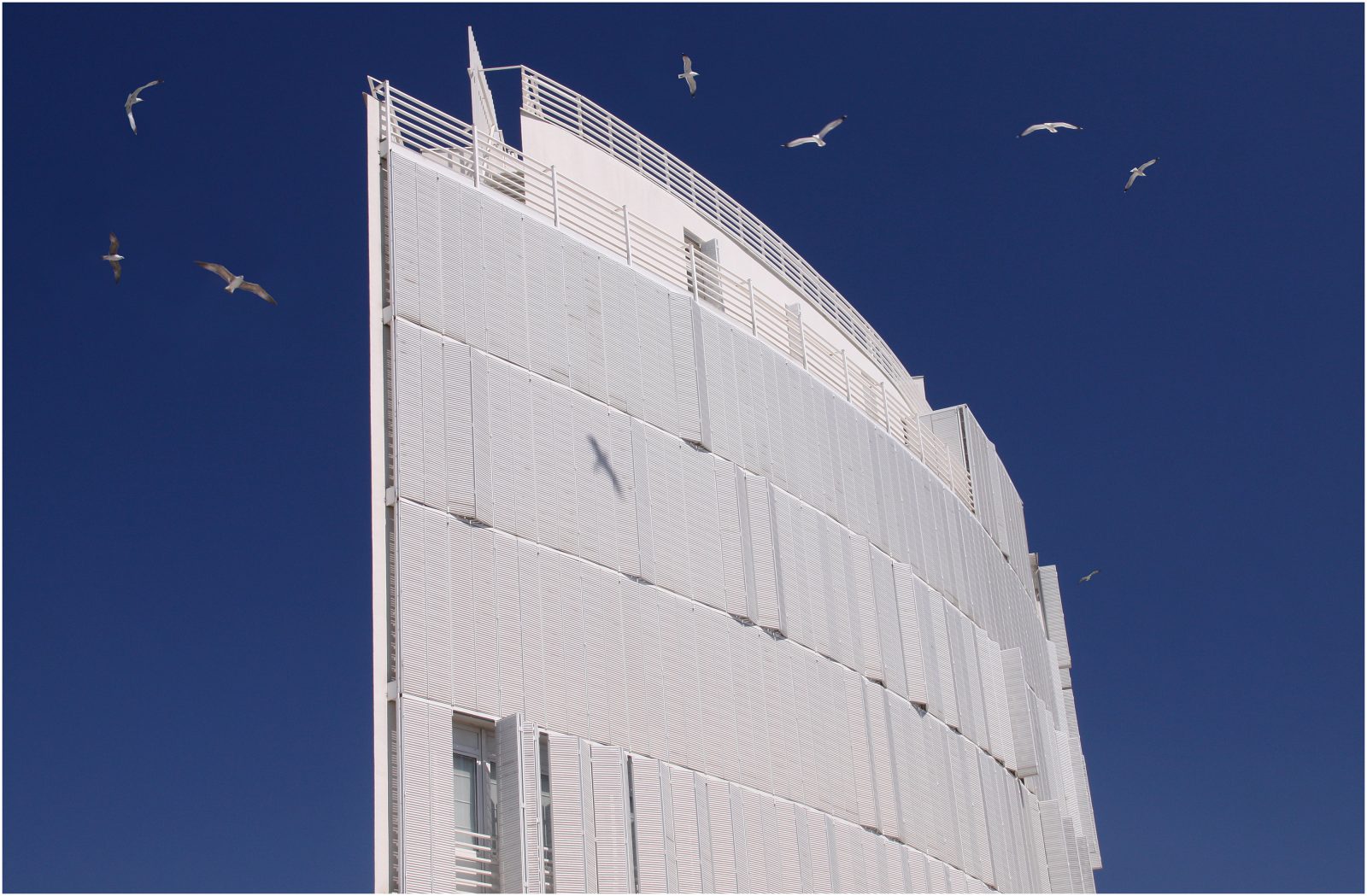 Harbour Architecture