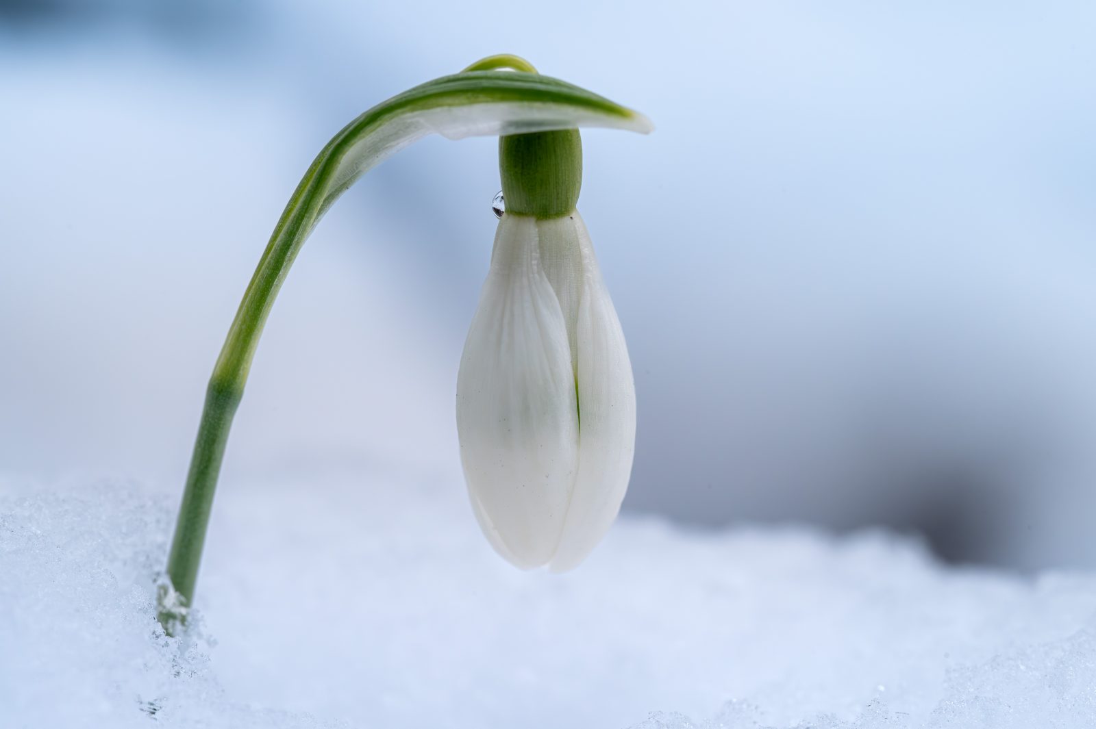 2024-Fotos Webseite - 001