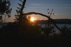 2024-Fotos Webseite - 003