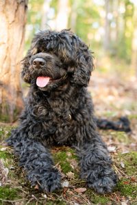 2024-Fotos Webseite - 006