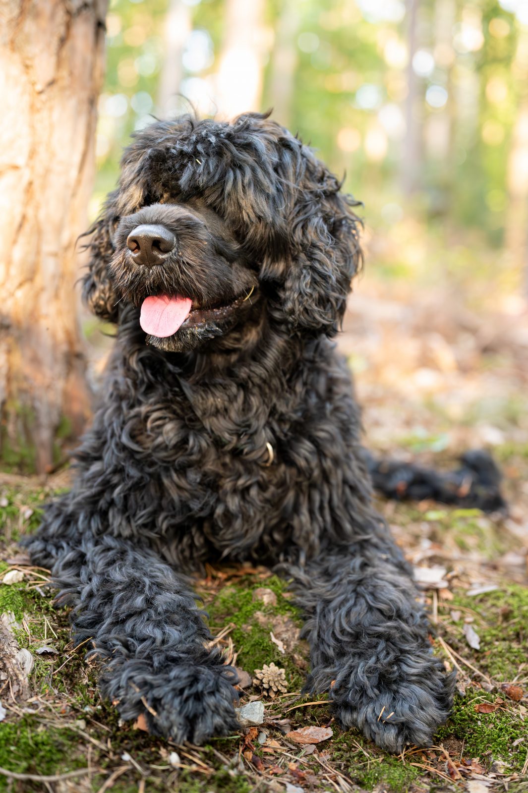 2024-Fotos Webseite - 006