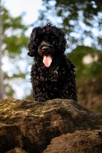 2024-Fotos Webseite - 007