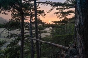 2024-Fotos Webseite - 008