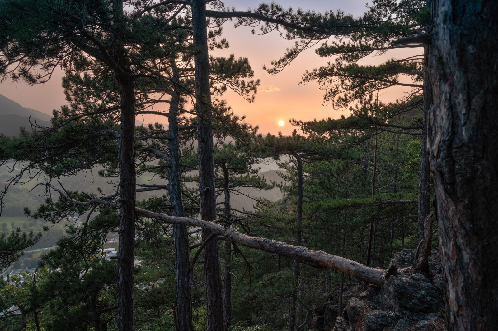 2024-Fotos Webseite - 008