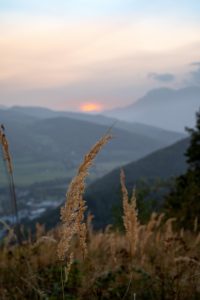 2024-Fotos Webseite - 009