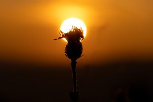 2024-Fotos Webseite - 010