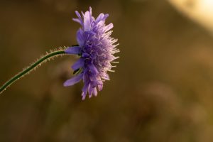 2024-Fotos Webseite - 011