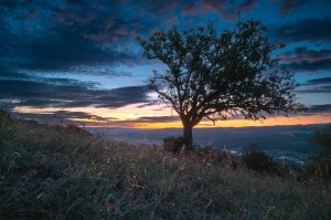 2024-Fotos Webseite - 012