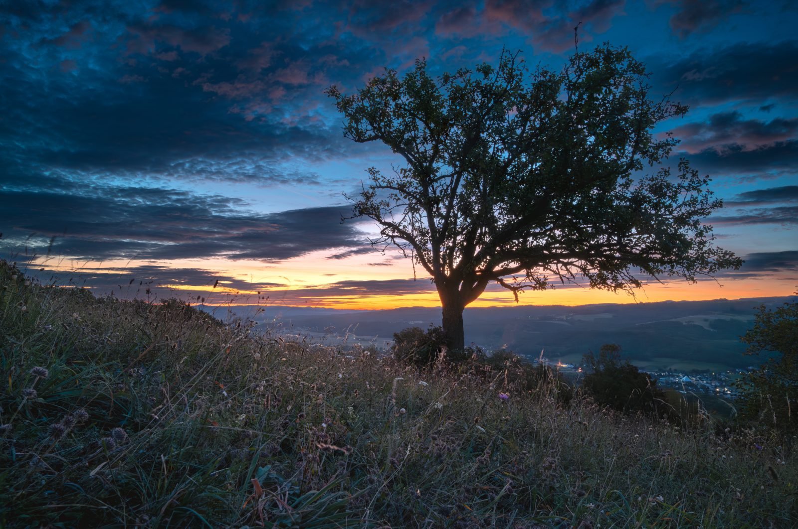 2024-Fotos Webseite - 012