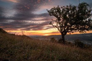 2024-Fotos Webseite - 013