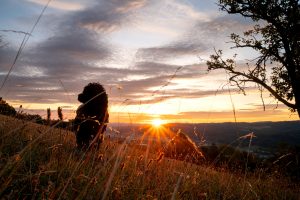 2024-Fotos Webseite - 014