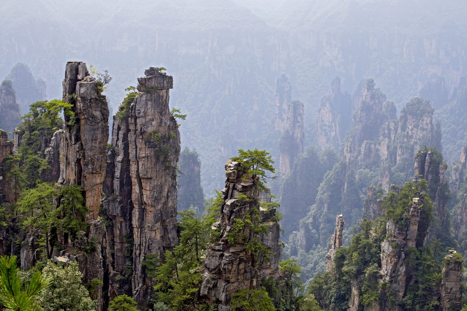 Avatar Nationalpark in China 01