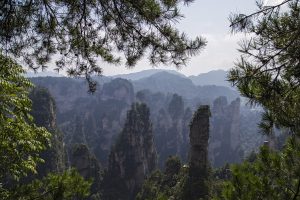 Avatar Nationalpark in China 02