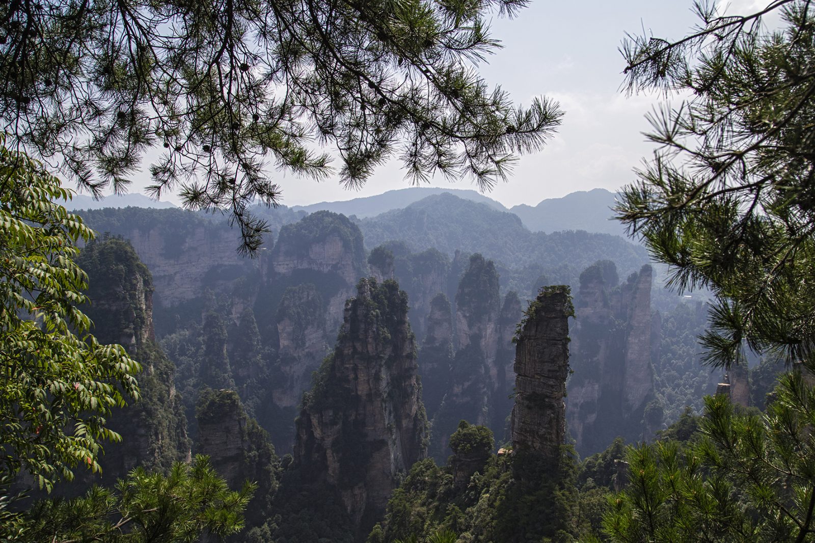 Avatar Nationalpark in China 02