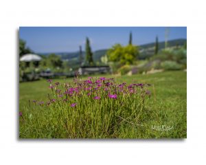 Landschaft