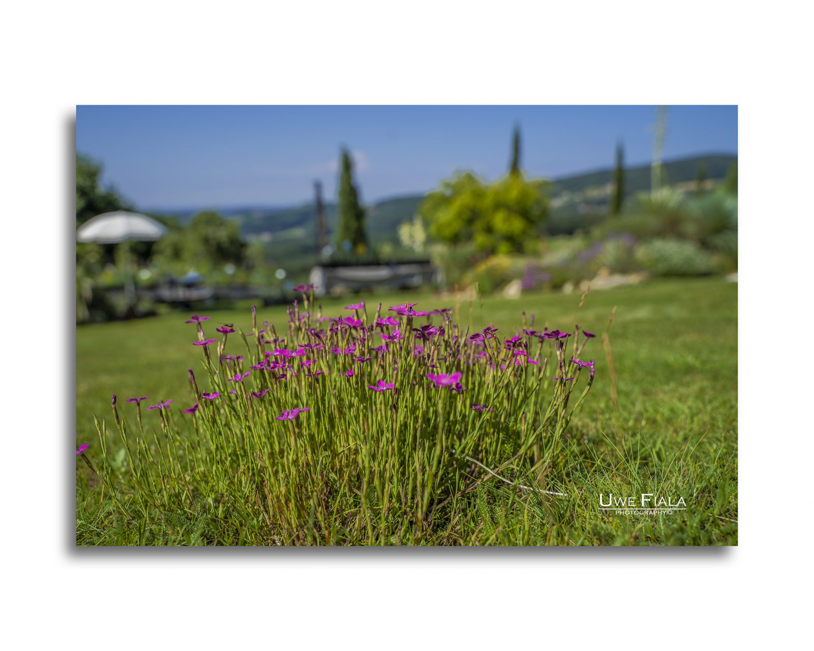 Landschaft