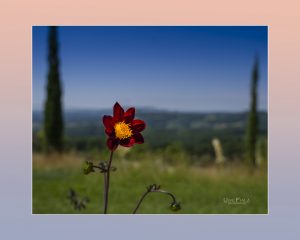 In´s Land reinschauen