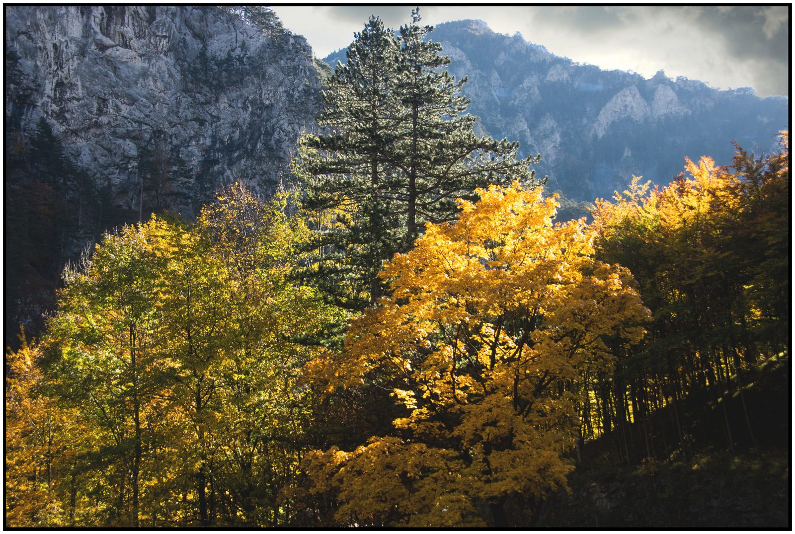 La11_Helmut Dittler_Höllental (N)