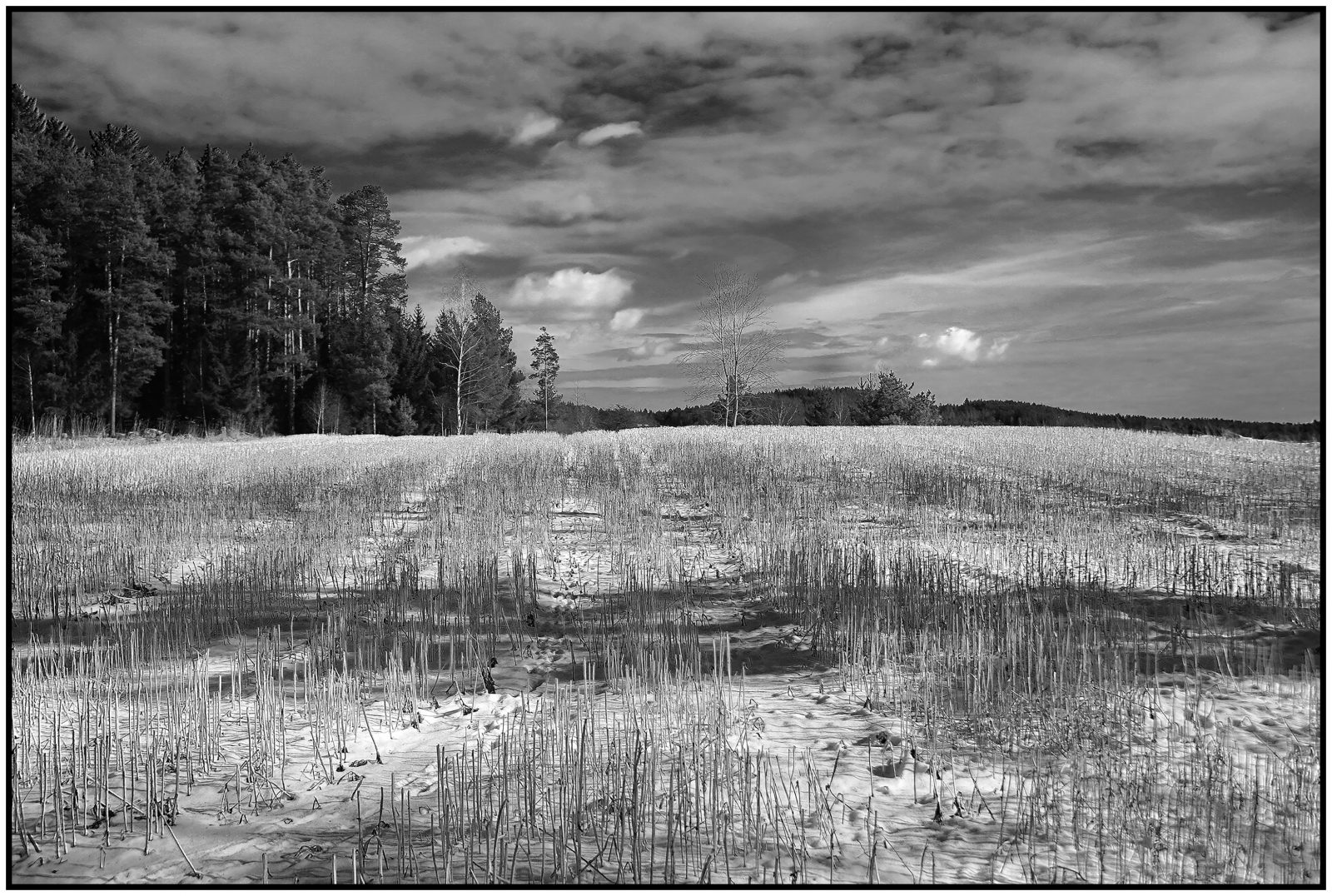 La7_Helmut Dittler_Waldviertel