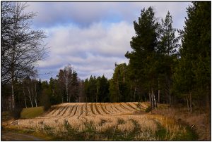 La6_Helmut Dittler_Waldviertel