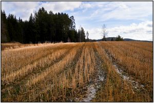La5_Helmut Dittler_Waldviertel