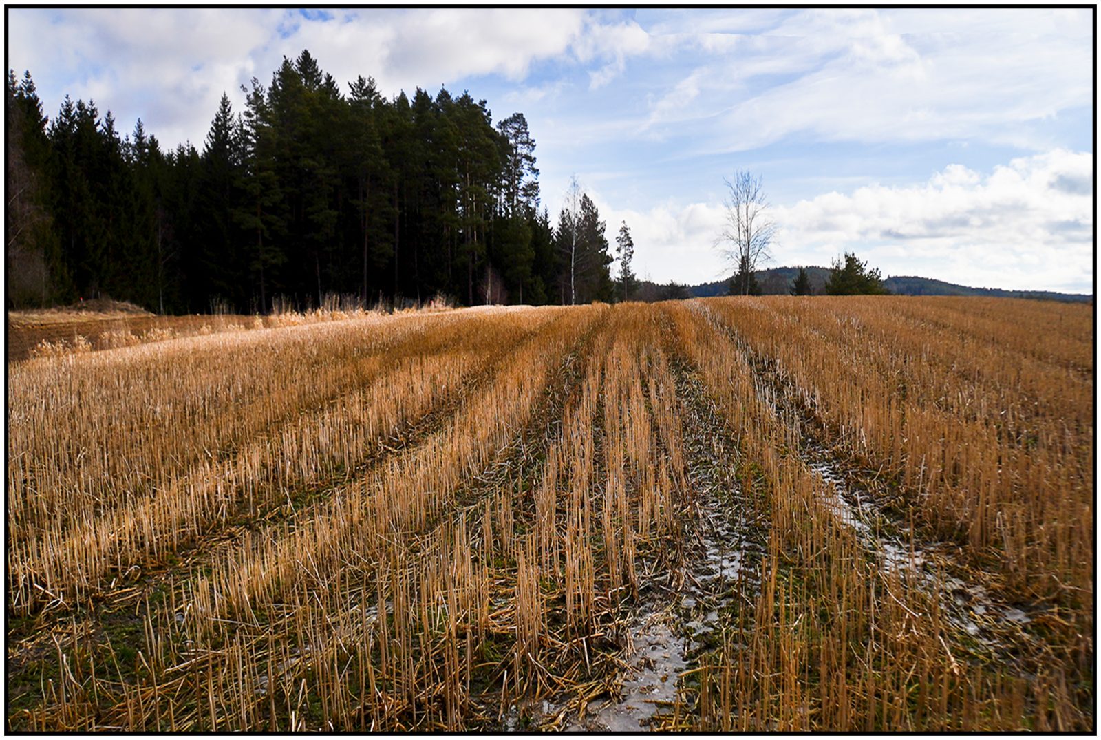 La5_Helmut Dittler_Waldviertel