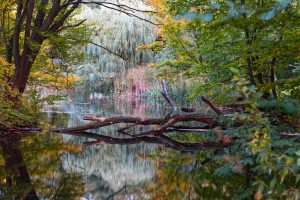 Naturpark Seebenstein