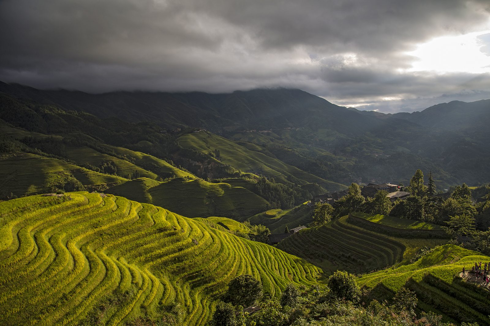 Reisterrassen in Pingan_China