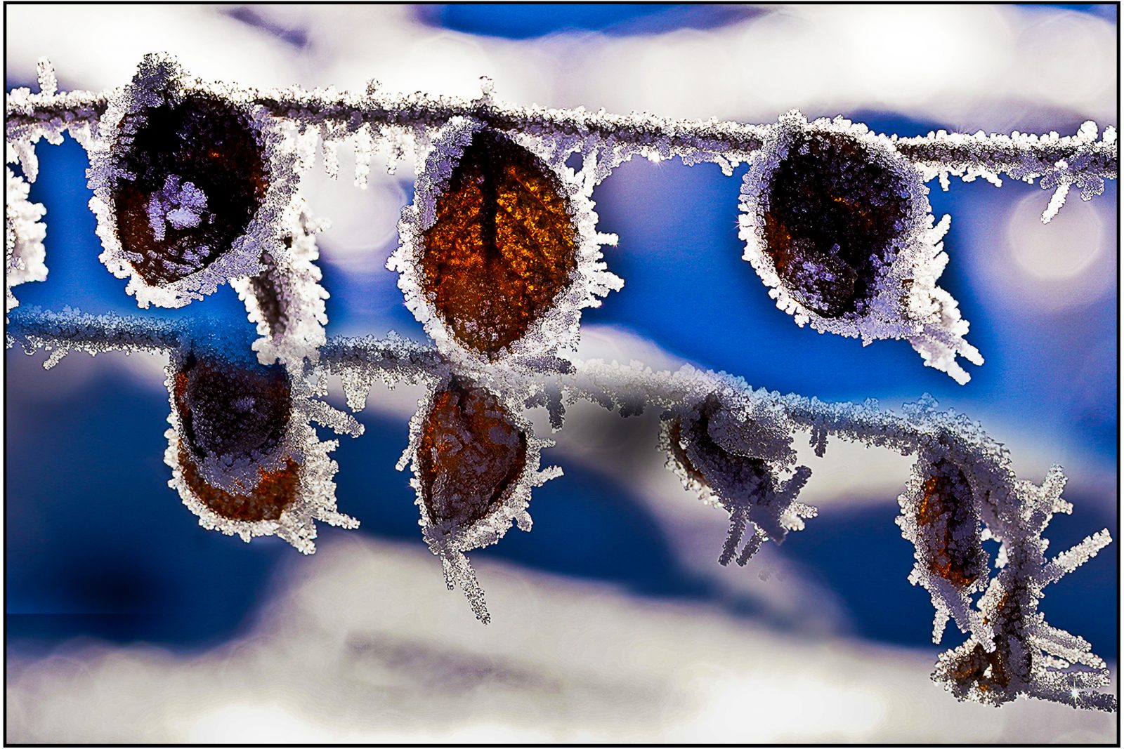 Wi_Helmut Dittler_Frost