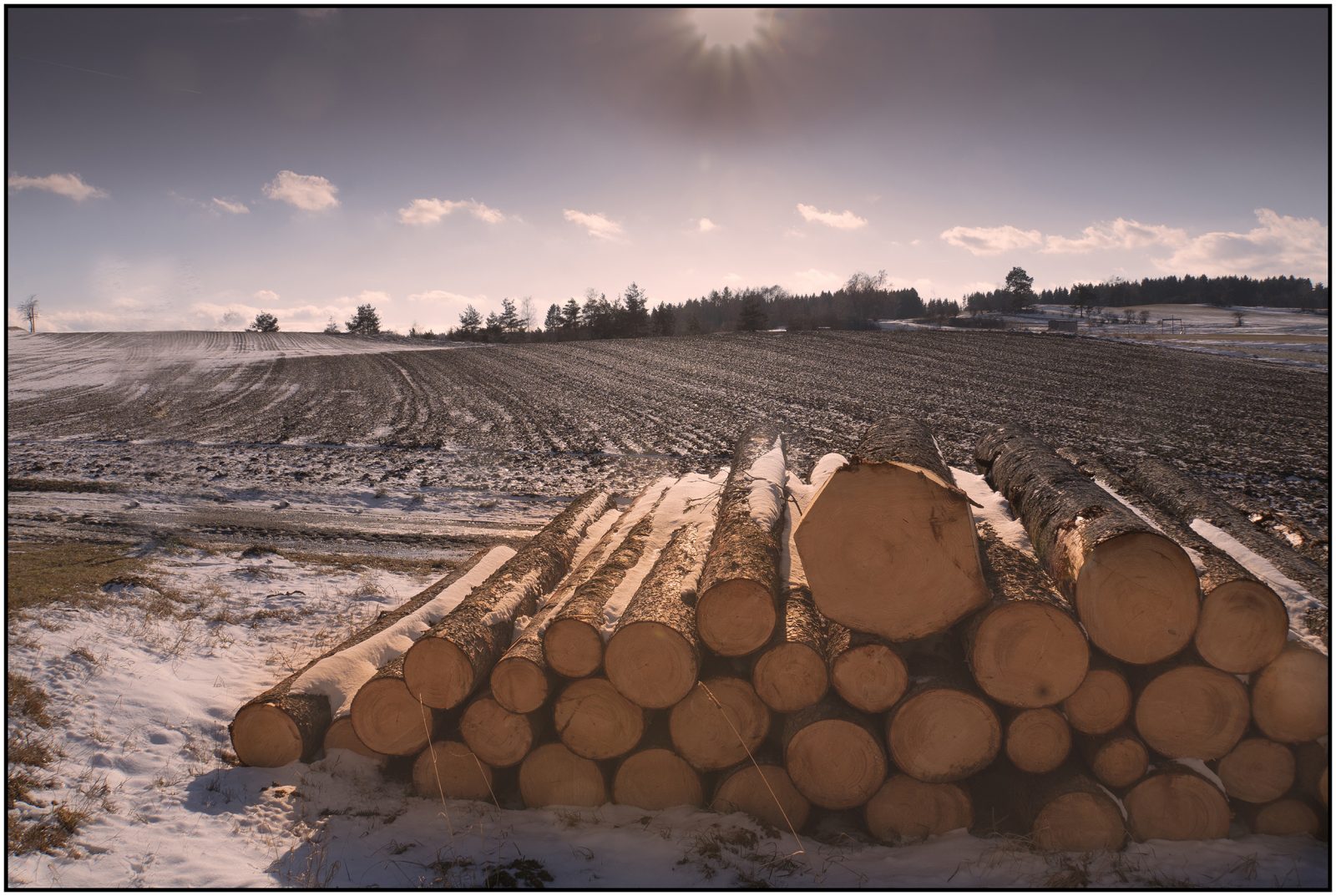 Wi5_Helmut Dittler_ Winter im Waldviertel