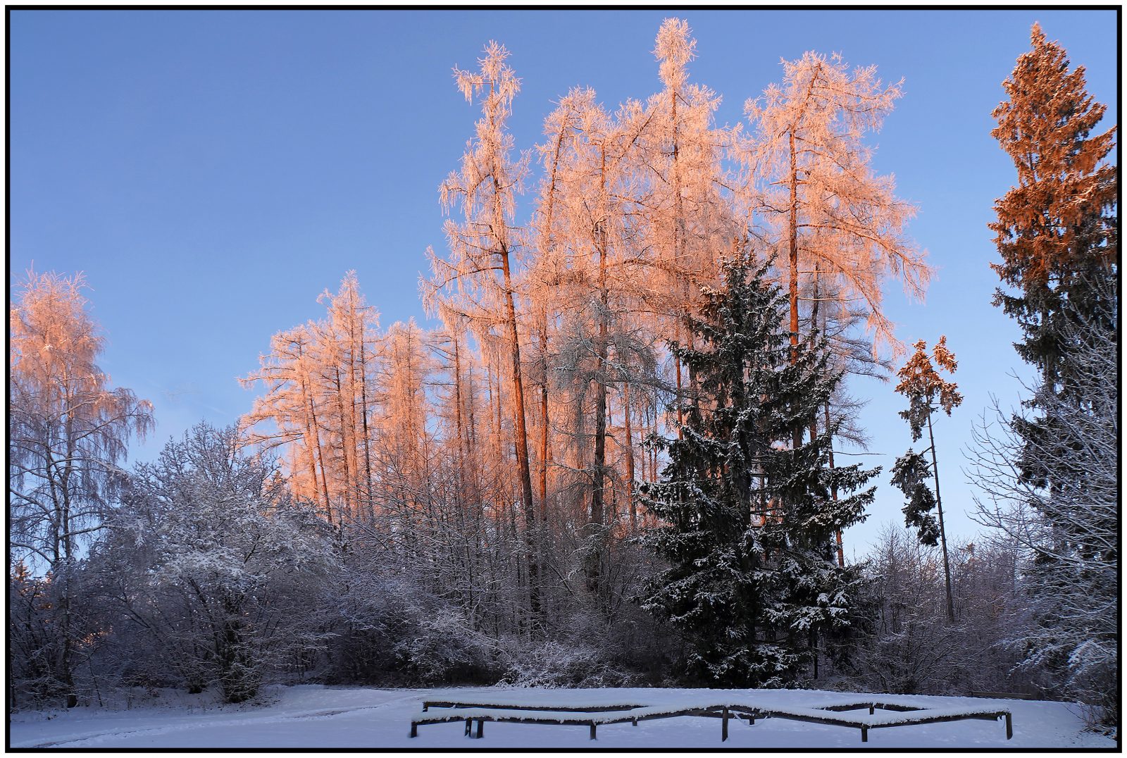 Wi7_ Helmut Dittler_ Winterwelt