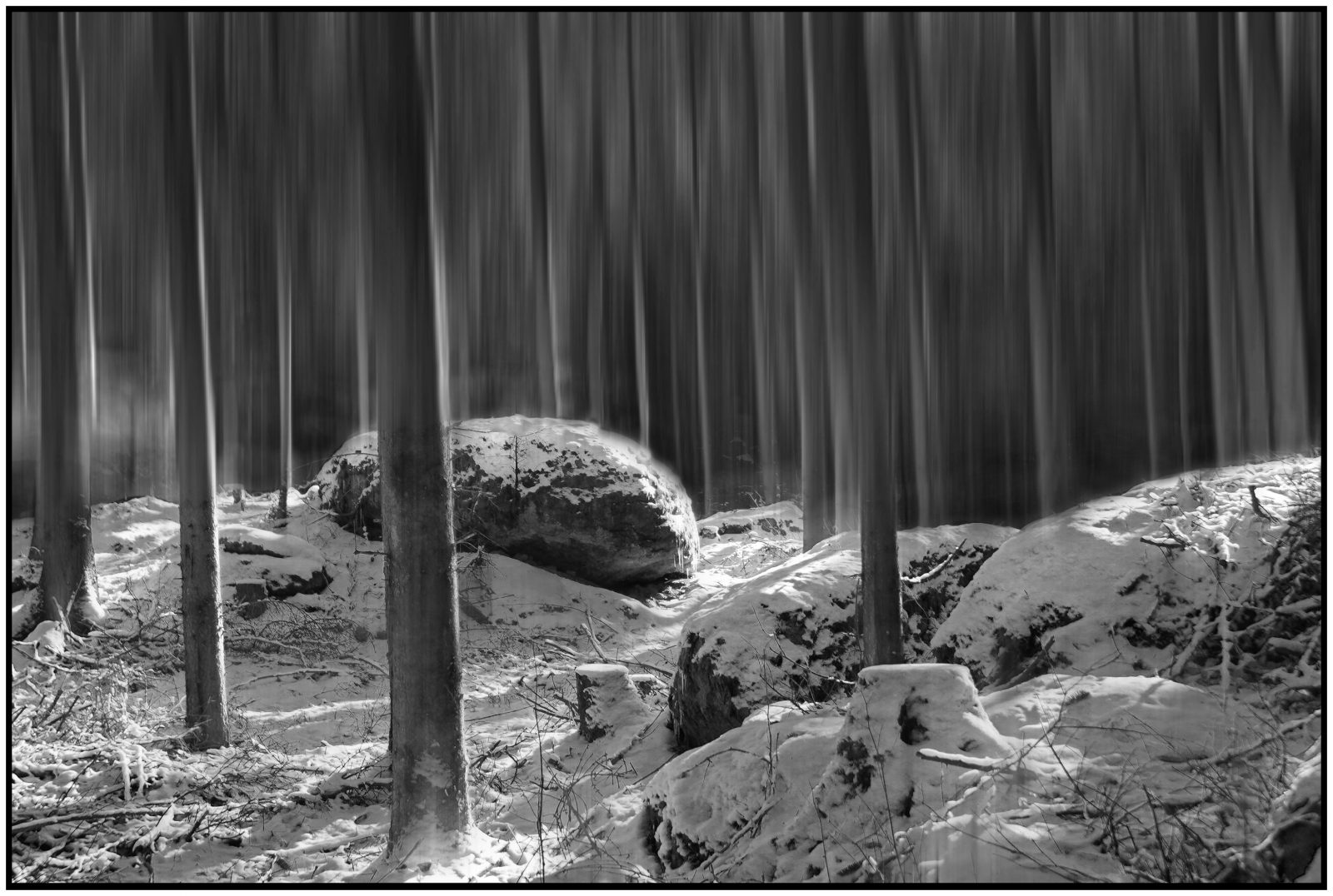 Wi8_ Helmut Dittler_ Winterwald