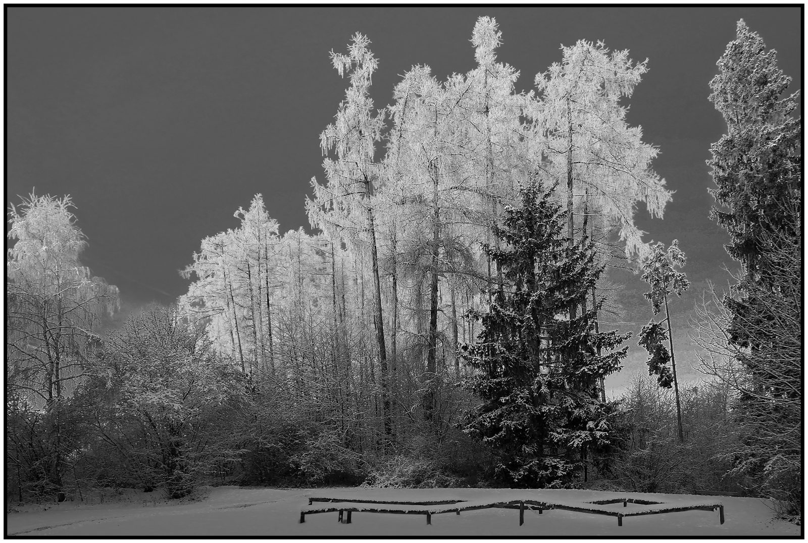 Wi2_Helmut Dittler_ Winterwelt