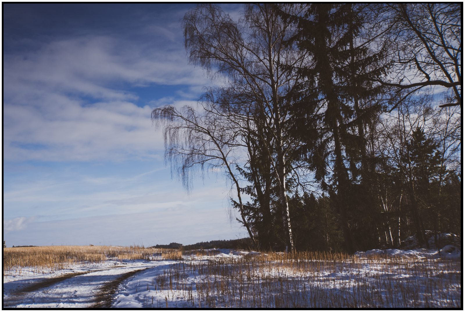 Wi4_Helmut Dittler_ Winterwelt