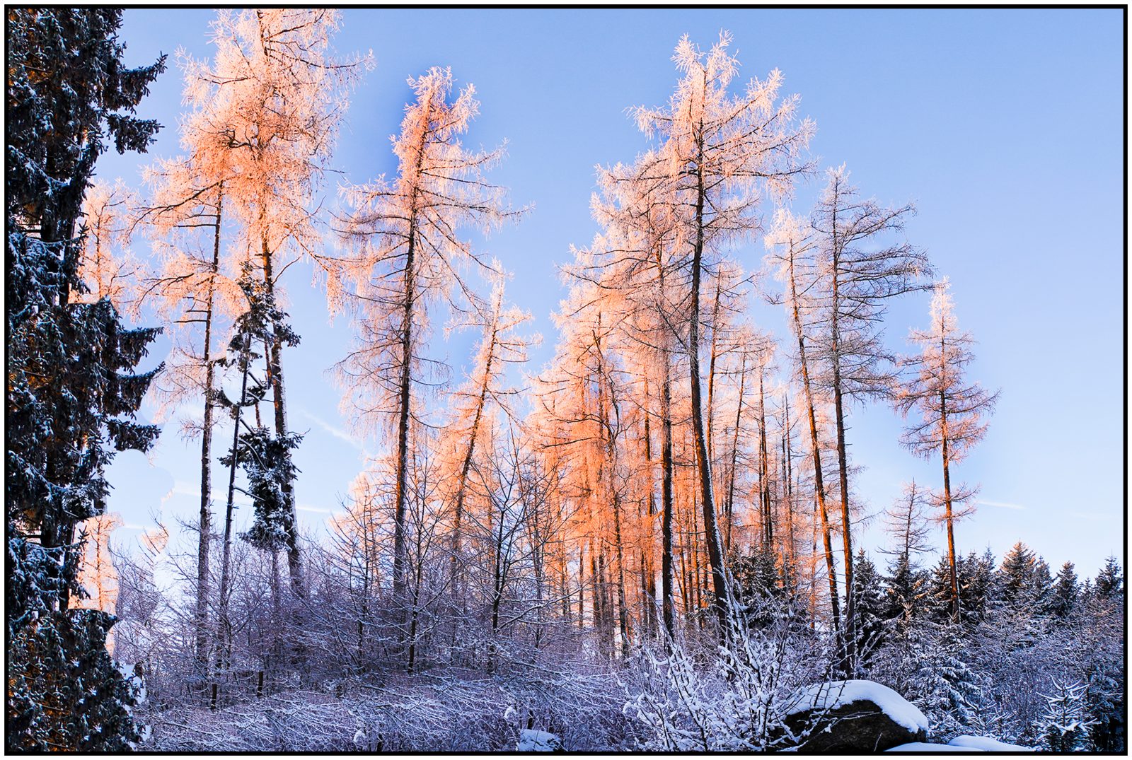 Wi3_Helmut Dittler_ Winterwelt