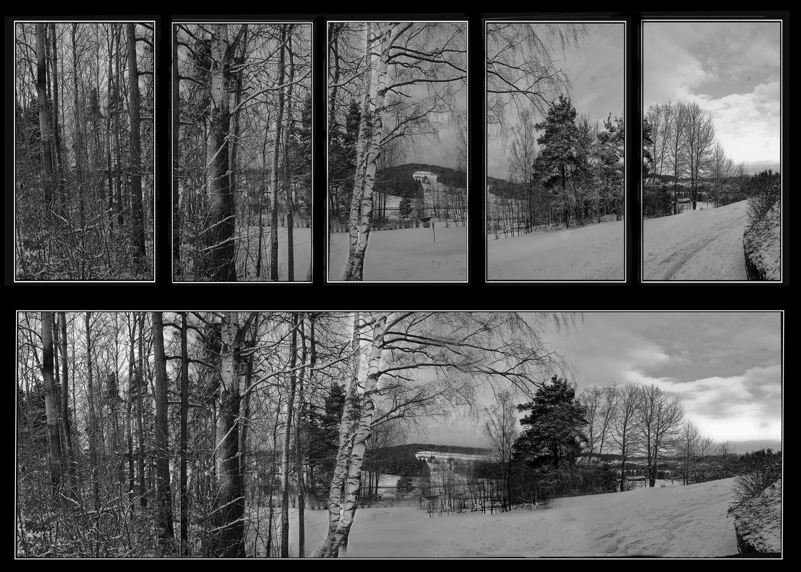Win1_Helmut Dittler_ Winterwelt